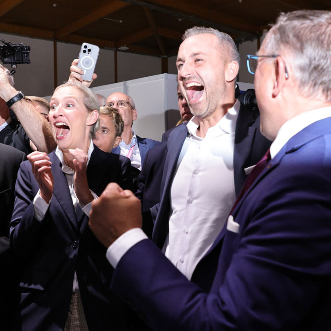 Germany's AfD Party Gains Ground Amid Immigration Debate